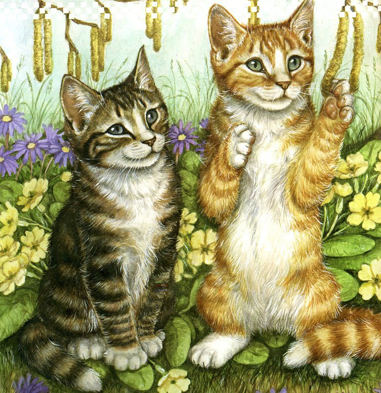 котята - оригинал