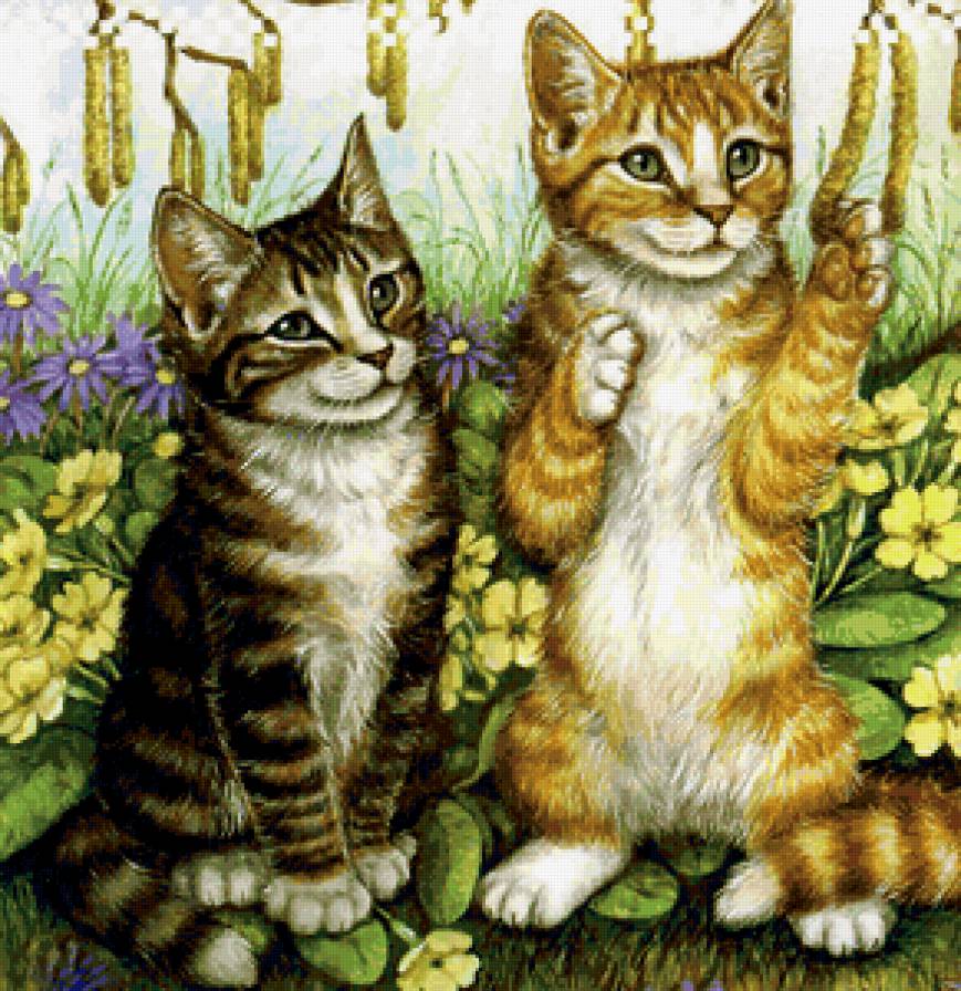 котята - предпросмотр