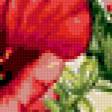 Предпросмотр схемы вышивки «красные цветы» (№399723)