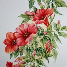Оригинал схемы вышивки «красные цветы» (№399723)