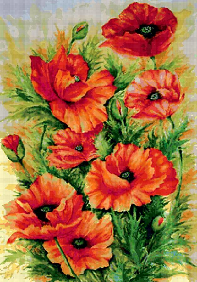 маки - маки, цветы - предпросмотр