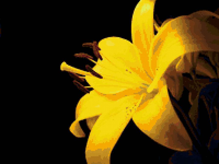 Желтое на черном - предпросмотр