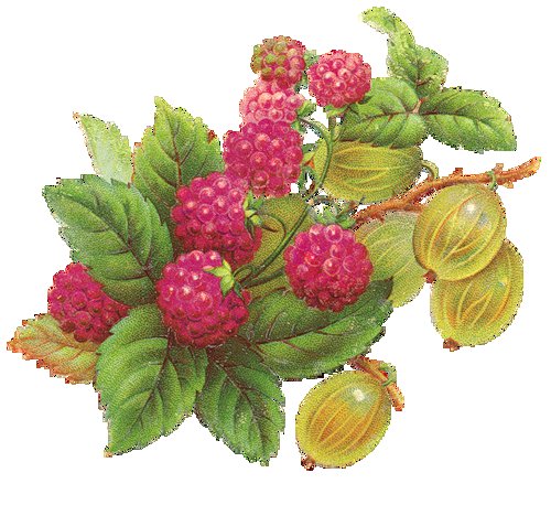 №399787 - ягоды - оригинал