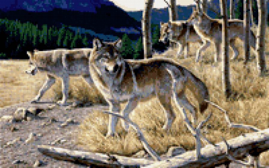 стая - предпросмотр