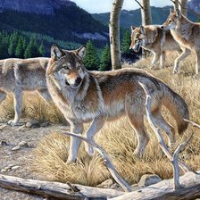 Схема вышивки «стая»