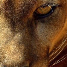 Схема вышивки «№399842»