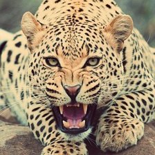 Схема вышивки «№399847»