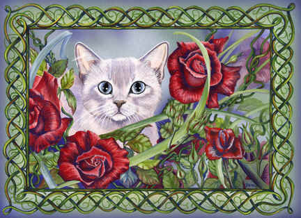 котенок и розы - розы, кот, цветы - оригинал