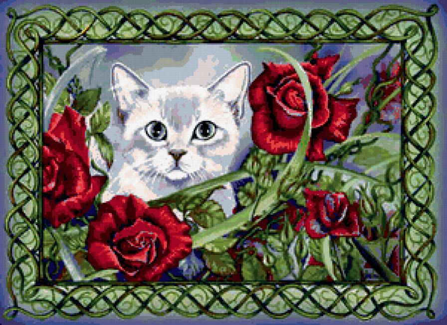 котенок и розы - кот, розы, цветы - предпросмотр