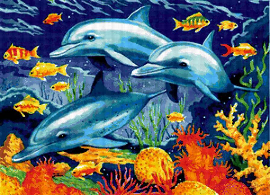 дельфины - море, дельфины - предпросмотр