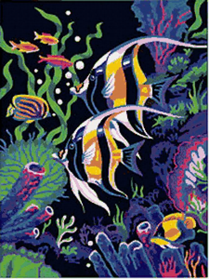 морские обитатели - рыбки, море - предпросмотр