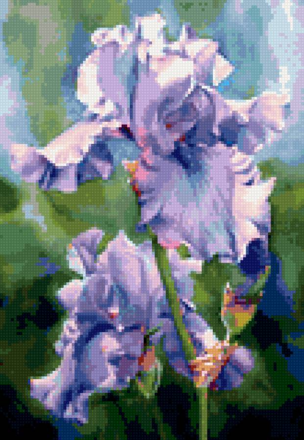 Ирис - цветок - предпросмотр