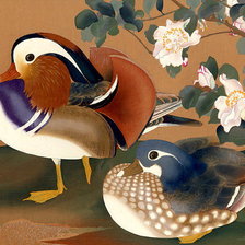 Схема вышивки «уточки-мандаринки»