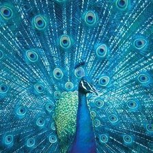 Схема вышивки «№400118»