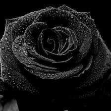 Схема вышивки «№400120»