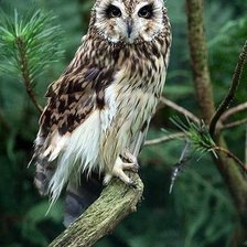 Схема вышивки «№400145»