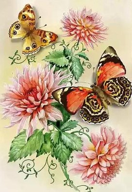 ЦВЕТЫ И БАБОЧКИ - бабочки, цветы, георгины - оригинал