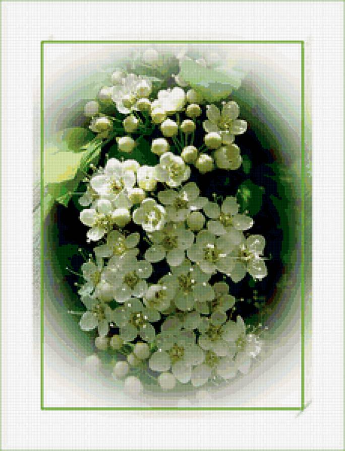 №400244 - цветы, весна, сады, природа - предпросмотр