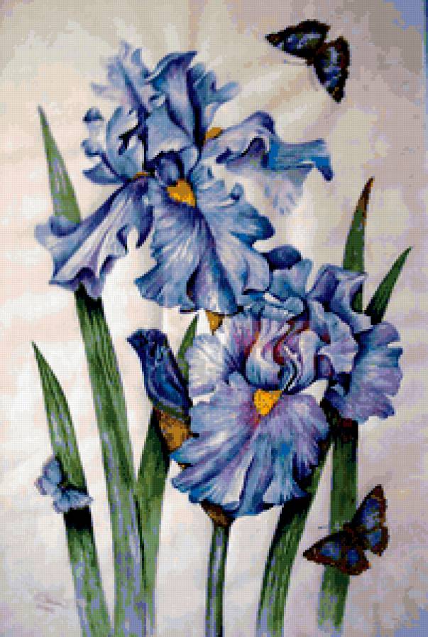 ирисы - живопись, ирисы, цветы - предпросмотр