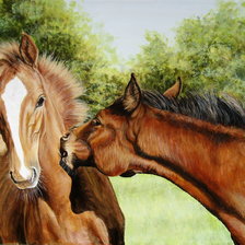 Схема вышивки «№400260»