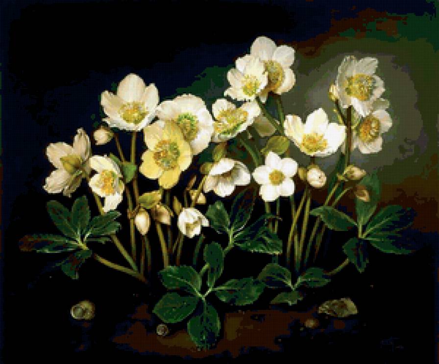 Белый букетик - букет, цветы - предпросмотр