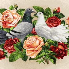Схема вышивки «голуби и розы»