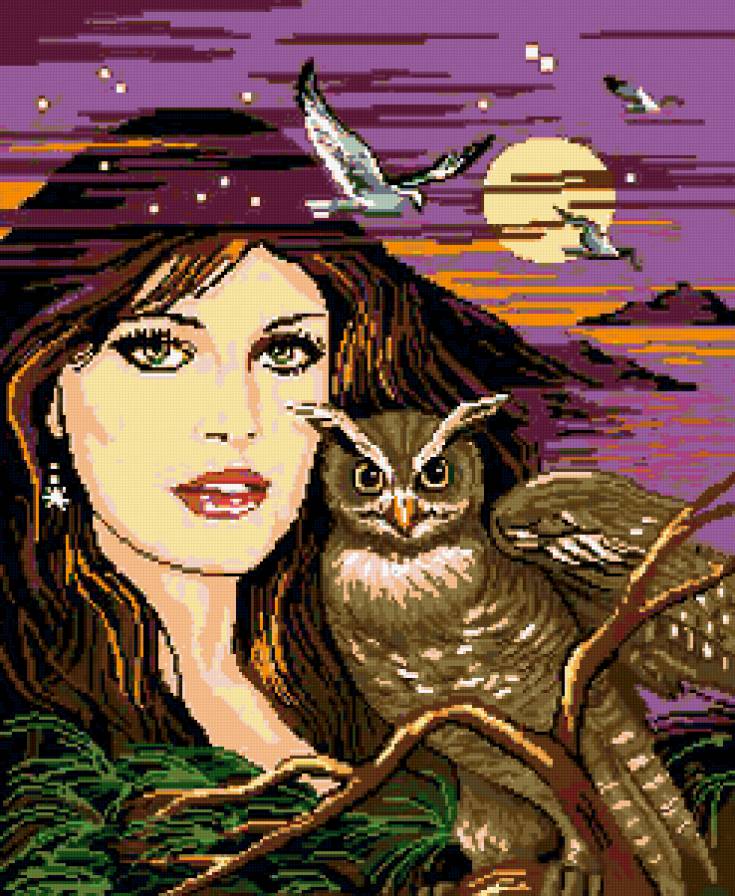 в гармонии с природой - сова, чайки, море, женщина - предпросмотр