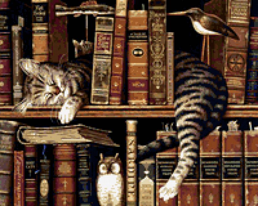 Кот на полке - полка, кот, книги - предпросмотр