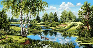 летний пейзаж - лето, утки, лес, березки, озеро - оригинал