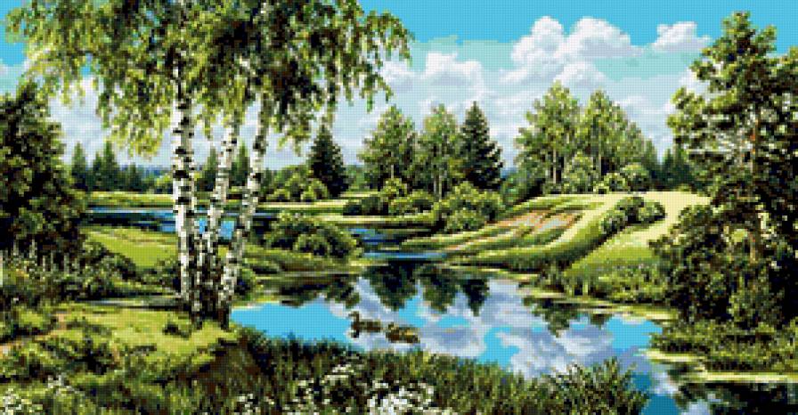летний пейзаж - лето, озеро, утки, лес, березки - предпросмотр
