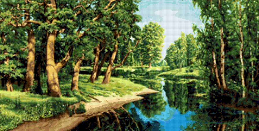 дубы у реки - лето, дубы, река, лес - предпросмотр