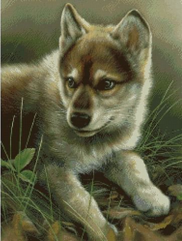 Волченок - животные - оригинал