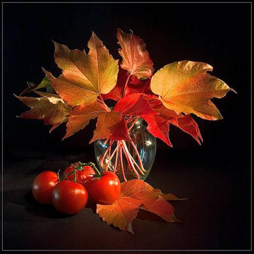 осенний натюрморт - оригинал