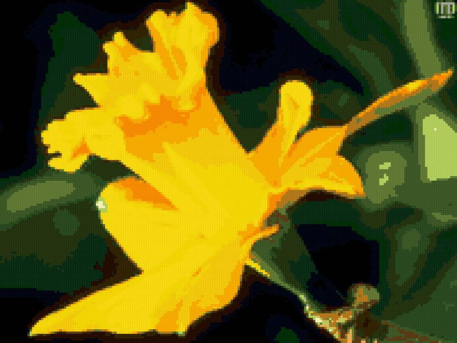 гиацинт - предпросмотр