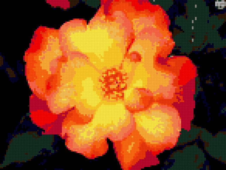 шиповник 3 - предпросмотр