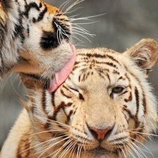 Схема вышивки «№400990»