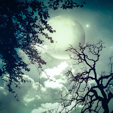 Схема вышивки «Ночь»