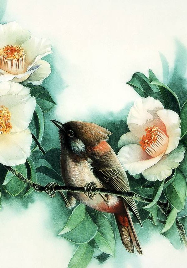 Птица и цветок - птица, цветок, природа, рисунки - оригинал