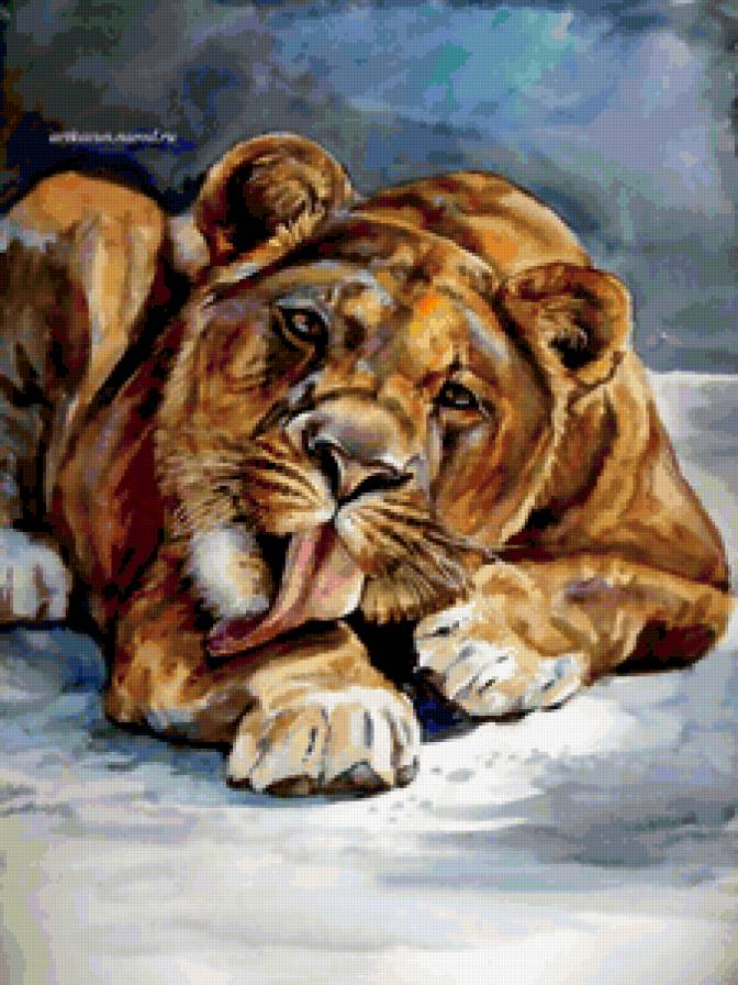 Львица - львы, мечтательная, задумчивая, львица - предпросмотр