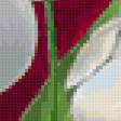Предпросмотр схемы вышивки «белые тюльпаны» (№401570)