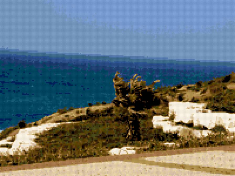 Ветер - ветер, пальма, море - предпросмотр