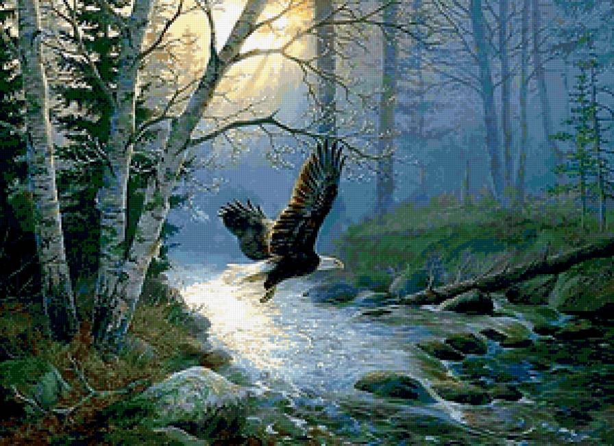Над бурным потоком - пейзаж, лес, река, полет, орел, туман - предпросмотр