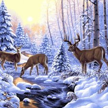 олени в зимнем лесу