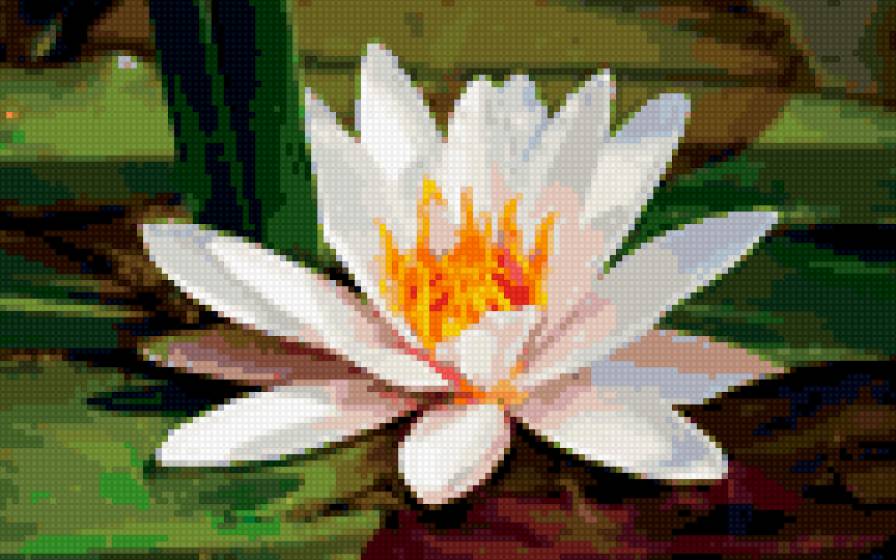 Лотос - цветы, природа - предпросмотр