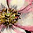 Предпросмотр схемы вышивки «цветение шиповника» (№402112)