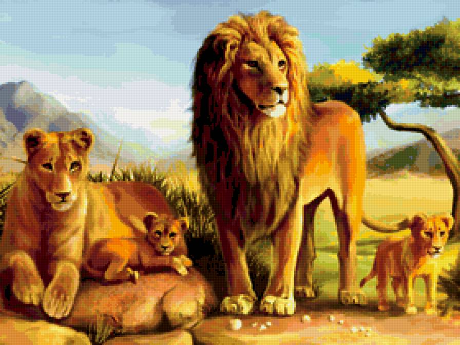 прайд - семья, львы - предпросмотр