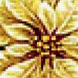 Предпросмотр схемы вышивки «Пуансеттия» (№402247)