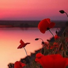 Схема вышивки «закат»