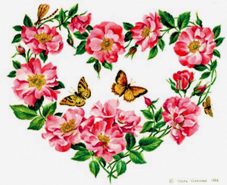 Цветочное сердечко - розы, бабочки, лето, сердце, роза, шиповник, цветочные сердечки - предпросмотр