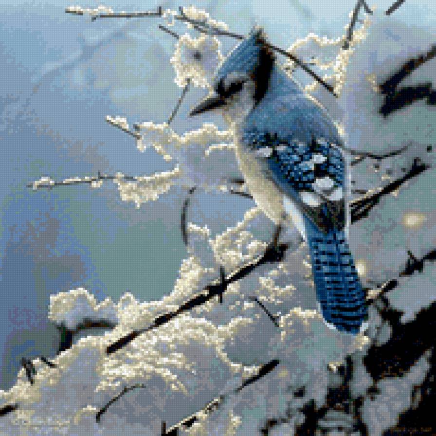 Птичка - зима, птицы, снег - предпросмотр